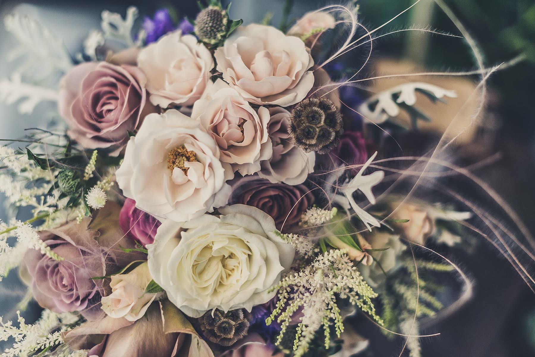 Lavender letter