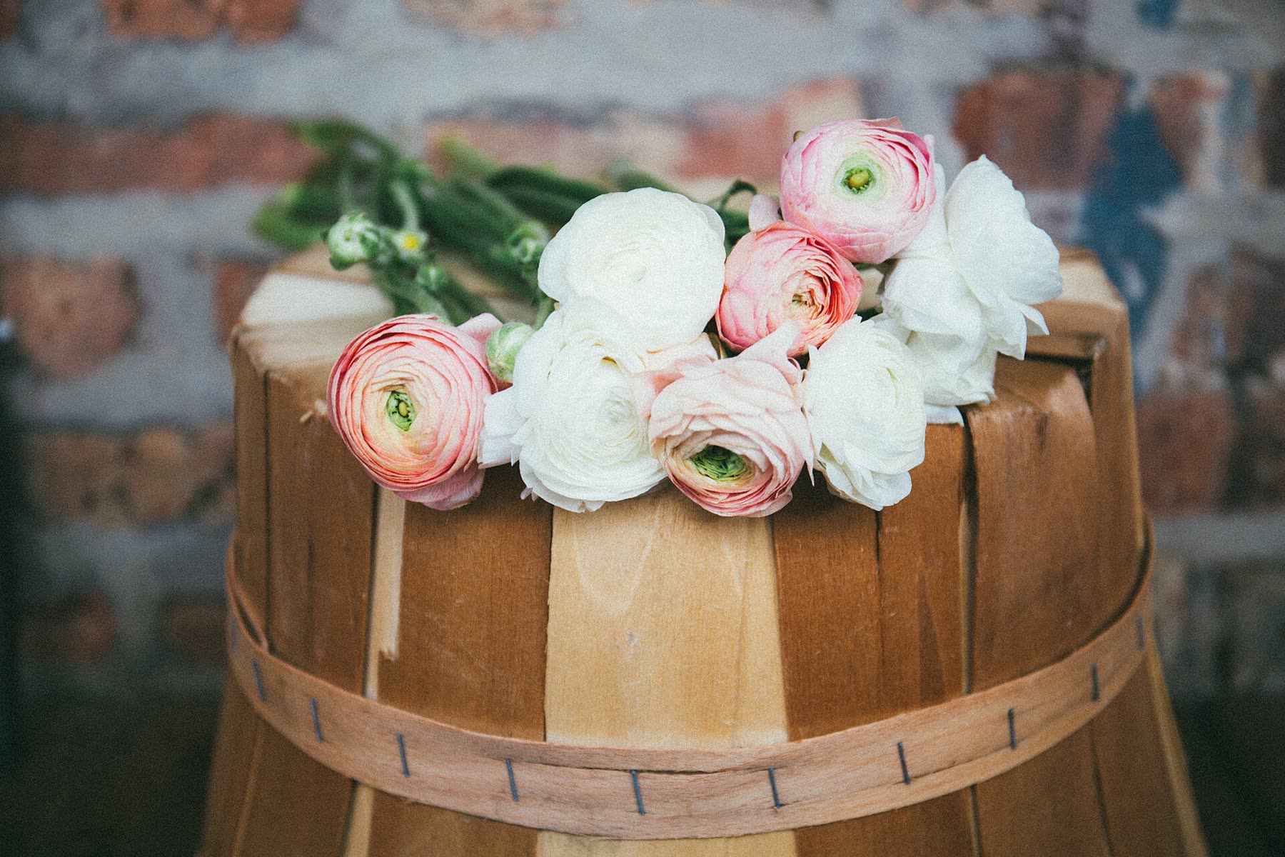 First blush